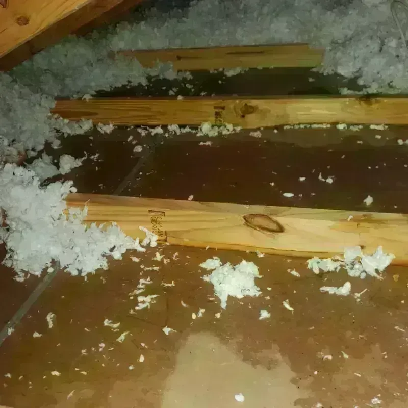 Attic Water Damage in West Menlo Park, CA